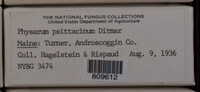 Image Associated With the Occurence